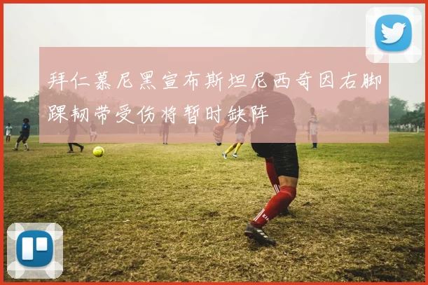 拜仁慕尼黑宣布斯坦尼西奇因右脚踝韧带受伤将暂时缺阵