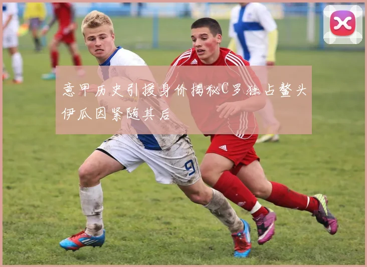 意甲历史引援身价揭秘C罗独占鳌头伊瓜因紧随其后
