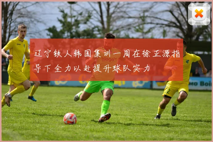 辽宁铁人韩国集训一周在徐正源指导下全力以赴提升球队实力